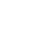 Modess logo